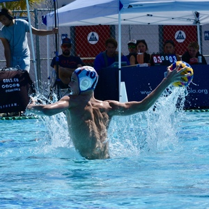 Fundraising Page: Dominic Palandrani